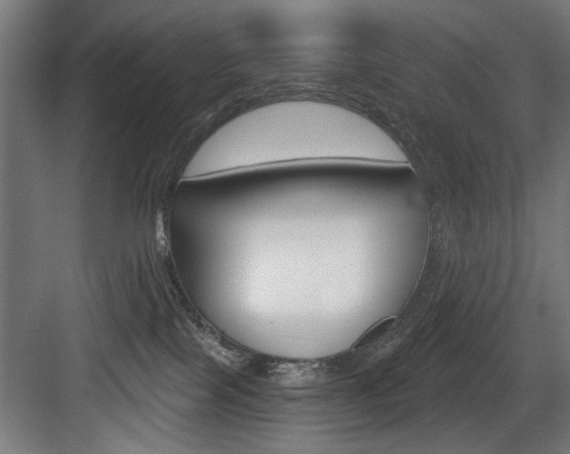 X0000083650089200702120847