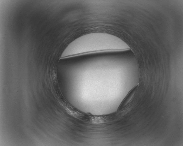 X0000083650091200702120847