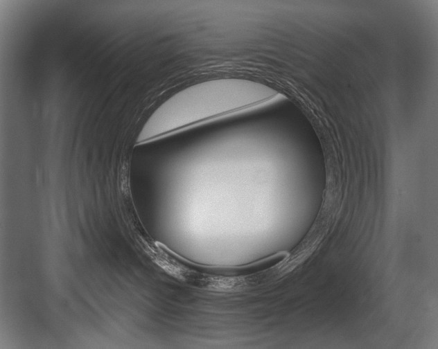 X0000083650096200702120847