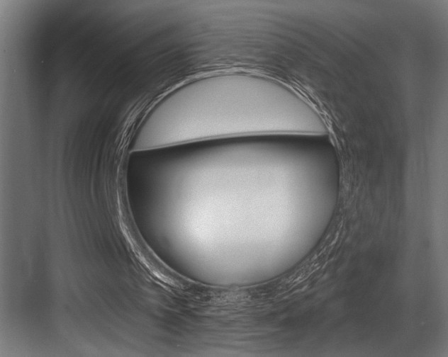 X0000083650097200702120847