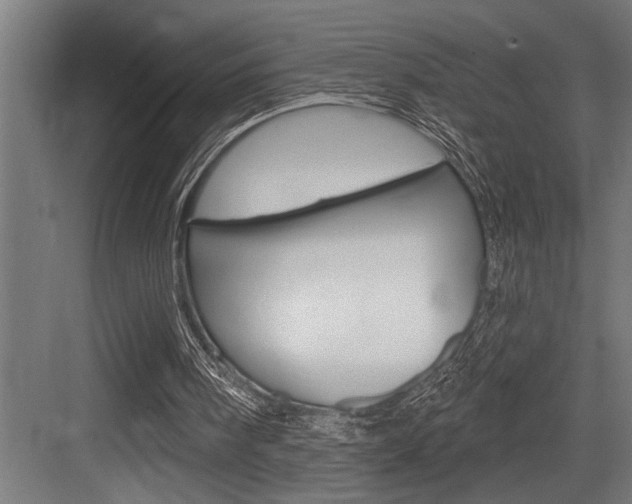 X0000083650098200702120847