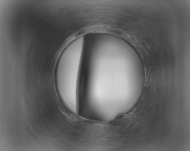 X0000083650099200702120847