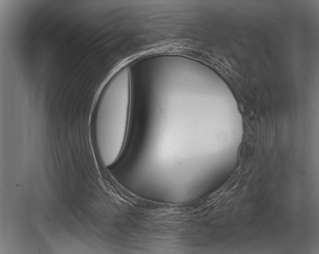 X0000083650100200702120846