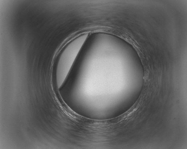 X0000083650101200702120846