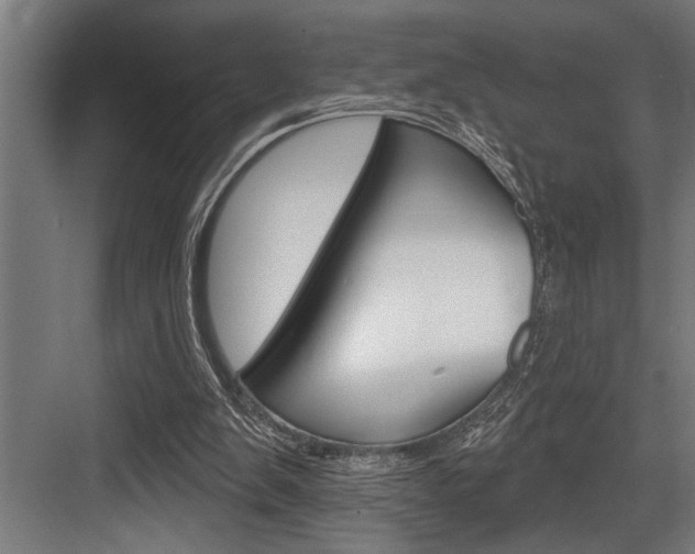 X0000083650103200702120846