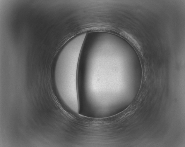X0000083650105200702120846