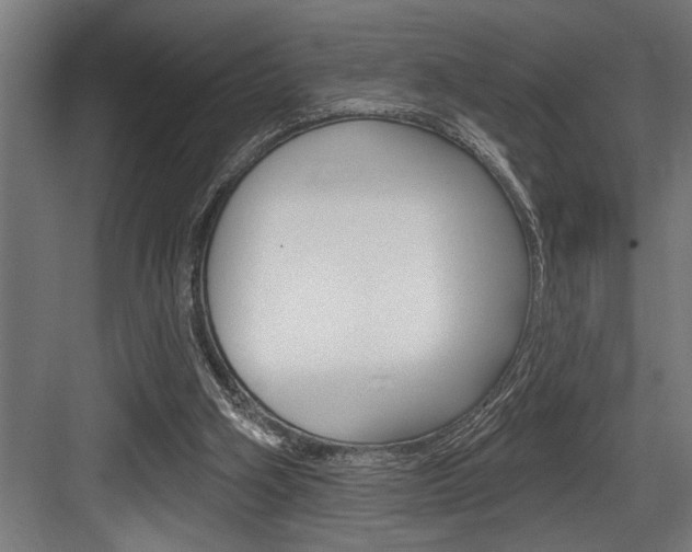 X0000083650106200702120846