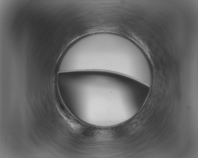 X0000083650107200702120846