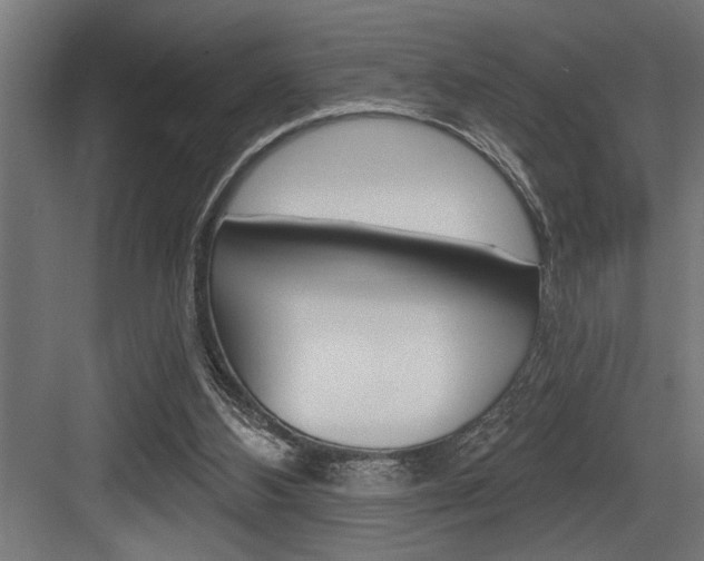 X0000083650108200702120846