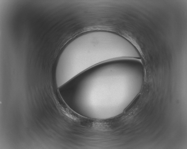X0000083650109200702120846