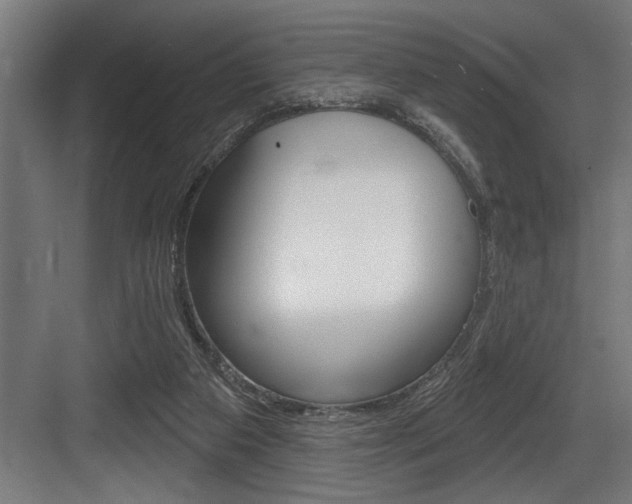 X0000083650113200702120846