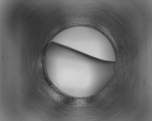 X0000083650114200702120846