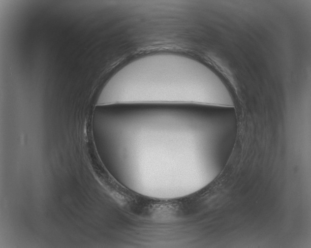 X0000083650115200702120846