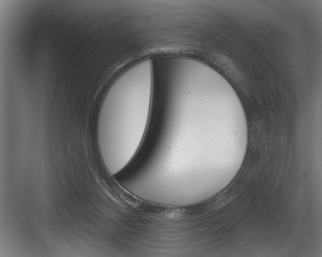 X0000083650116200702120846