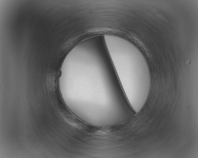 X0000083650119200702120846