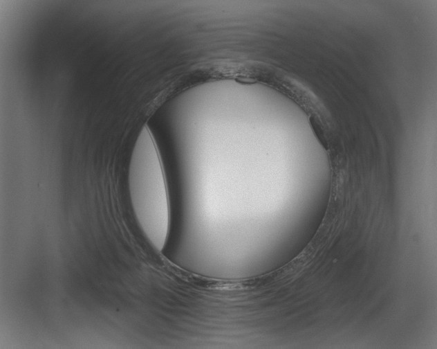 X0000083650121200702120846