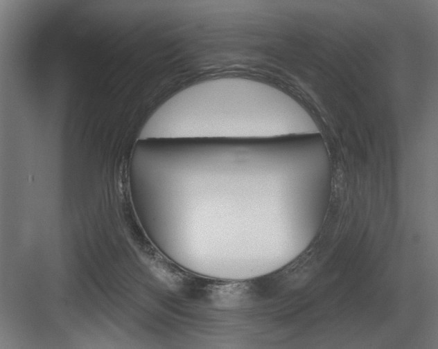 X0000083650122200702120846