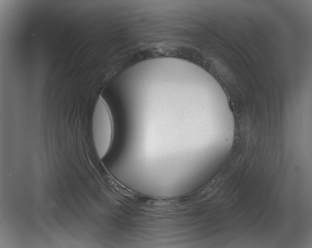 X0000083650129200702120846