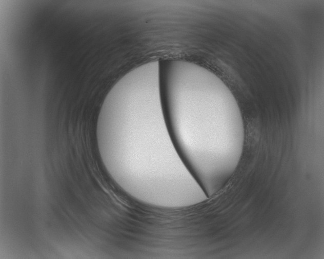 X0000083650130200702120846