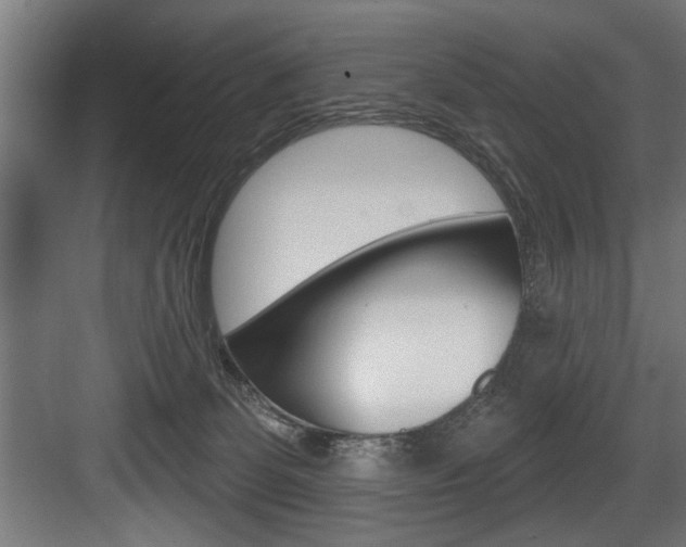 X0000083650131200702120846