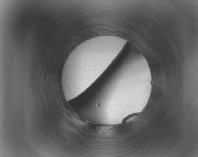 X0000083650132200702120846