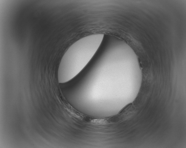 X0000083650133200702120846