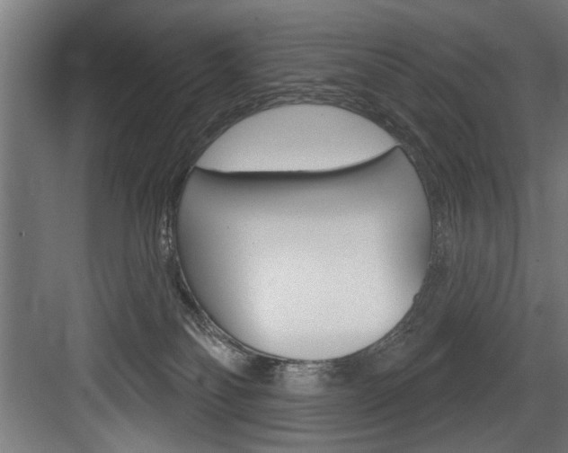 X0000083650134200702120846