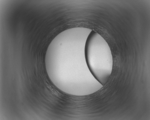 X0000083650138200702120846