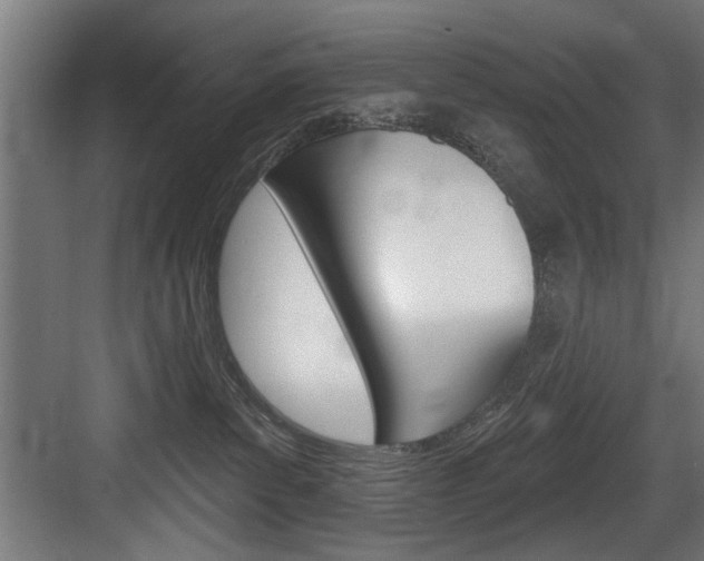 X0000083650139200702120846