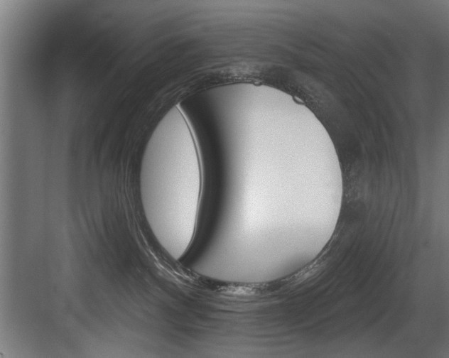 X0000083650140200702120846