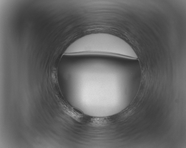 X0000083650141200702120846