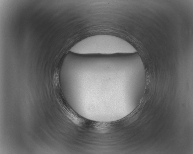 X0000083650142200702120846