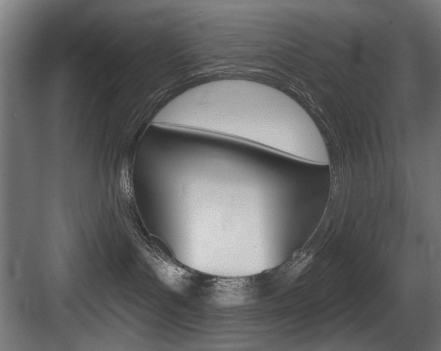 X0000083650143200702120846
