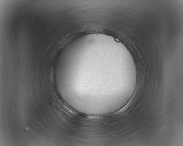 X0000083650144200702120846