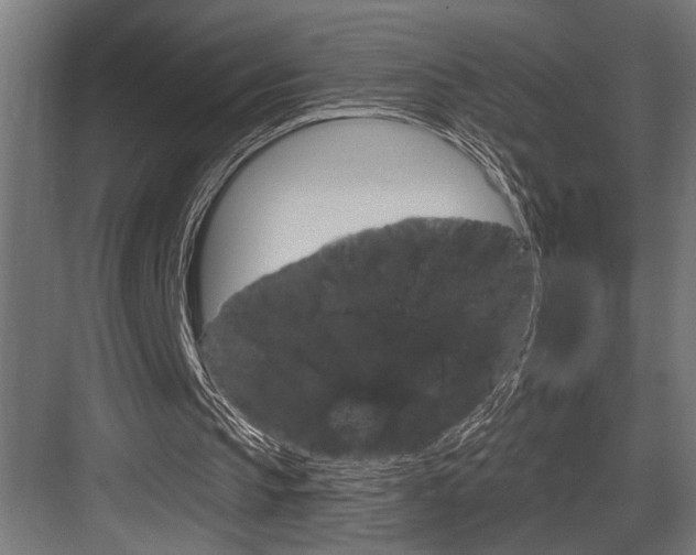 X0000083650145200702120845
