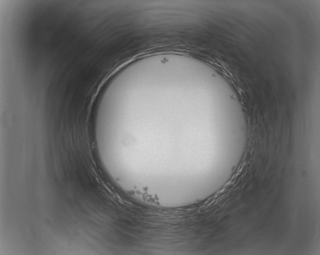 X0000083650146200702120845