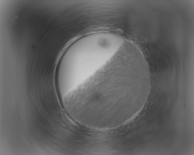 X0000083650147200702120845