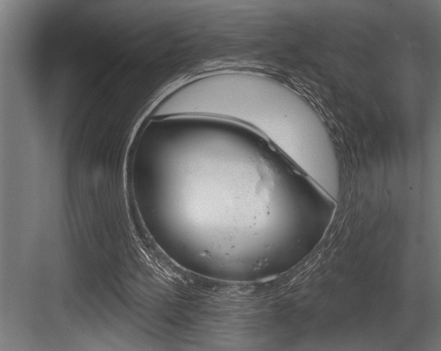 X0000083650148200702120845