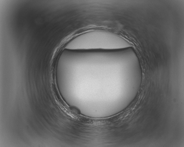 X0000083650149200702120845