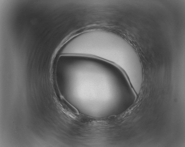 X0000083650150200702120845
