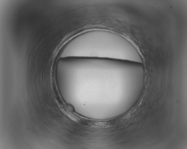 X0000083650151200702120845