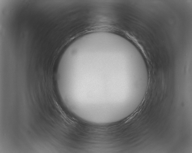 X0000083650154200702120845