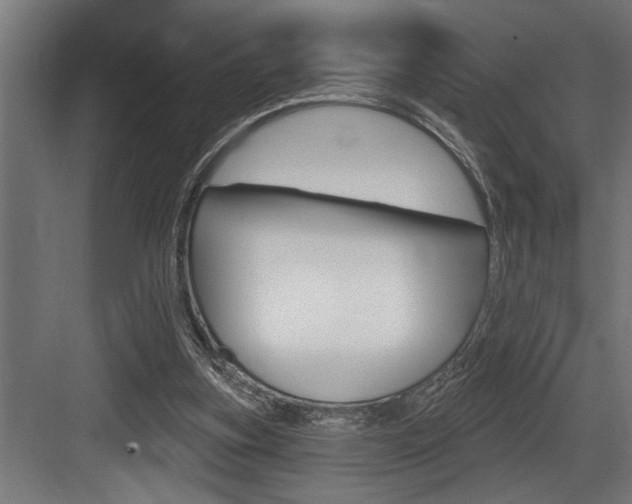 X0000083650155200702120845