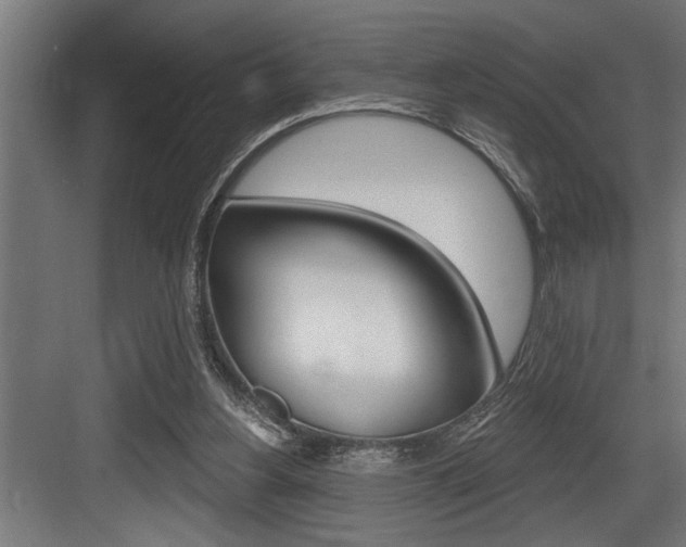 X0000083650156200702120845