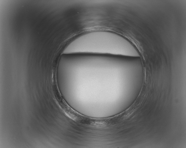 X0000083650157200702120845