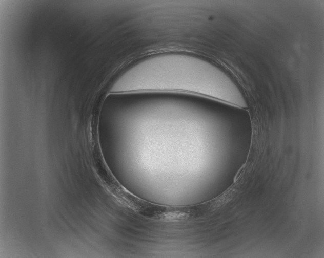 X0000083650158200702120845