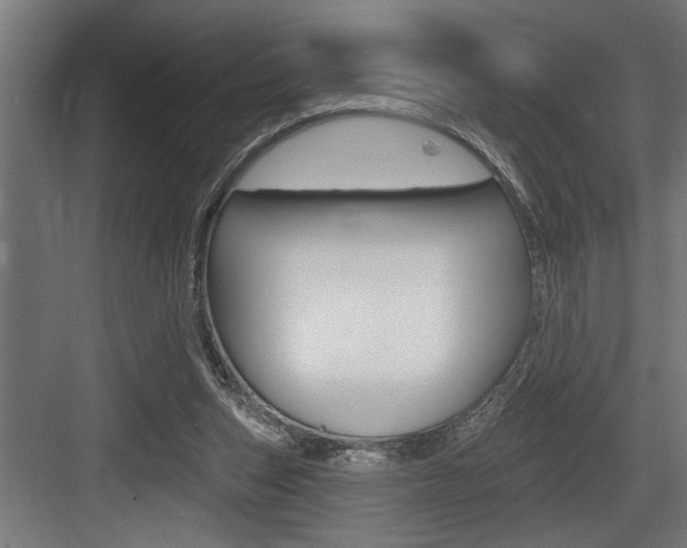 X0000083650159200702120845