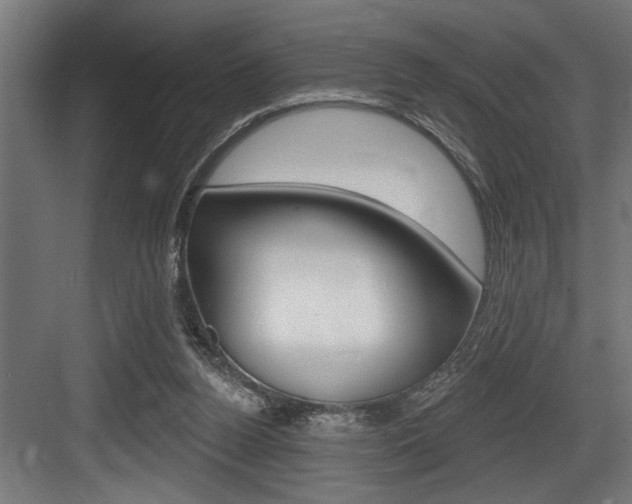 X0000083650160200702120845