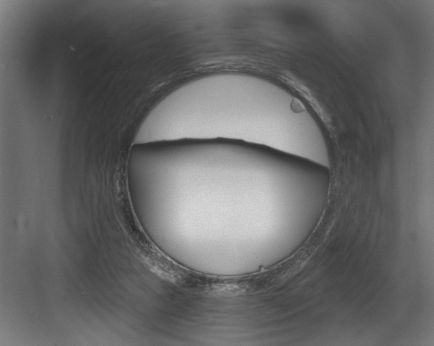 X0000083650161200702120845