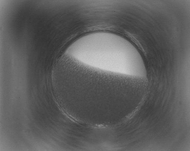 X0000083650163200702120845